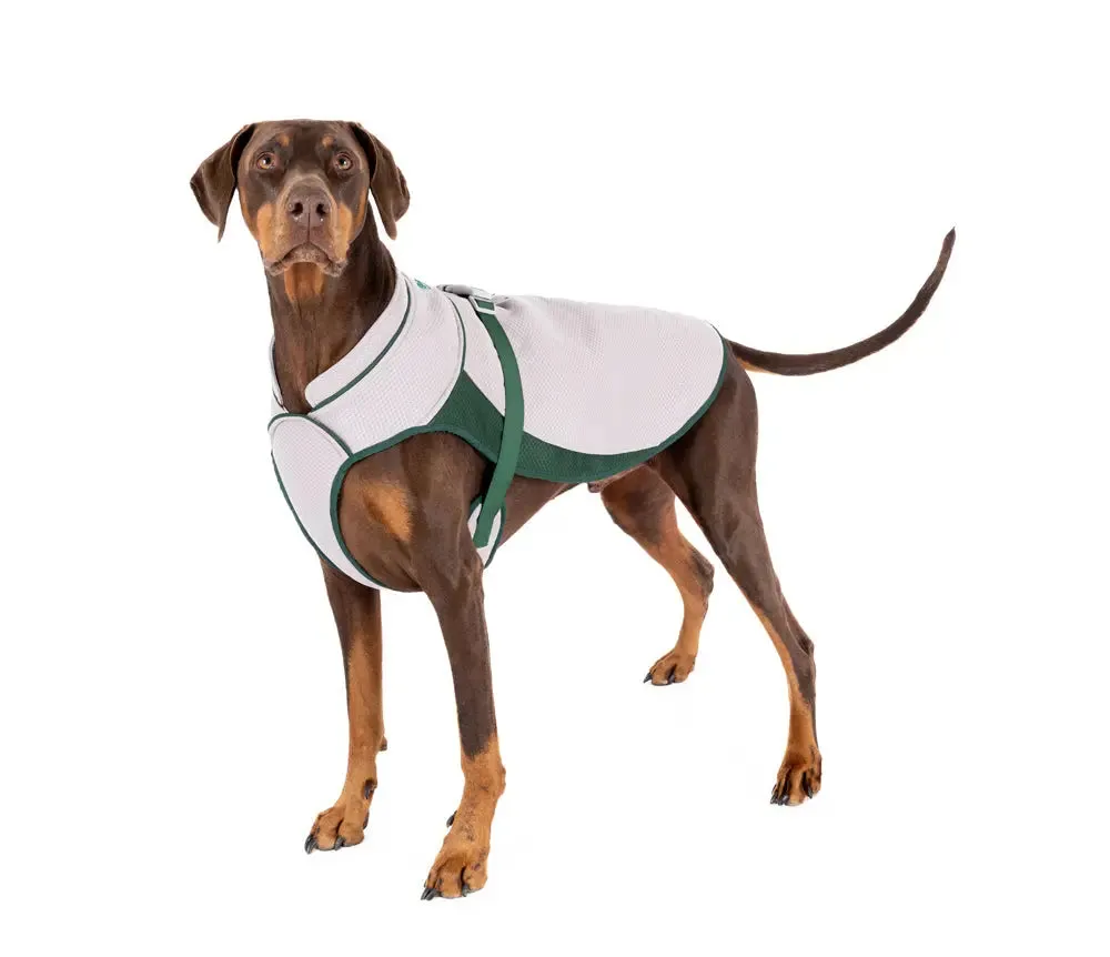 Dog Cooling Coat - Ruff & Tumble - BLACK FRIDAY SPECIAL OFFER - UPTO 30% OFF