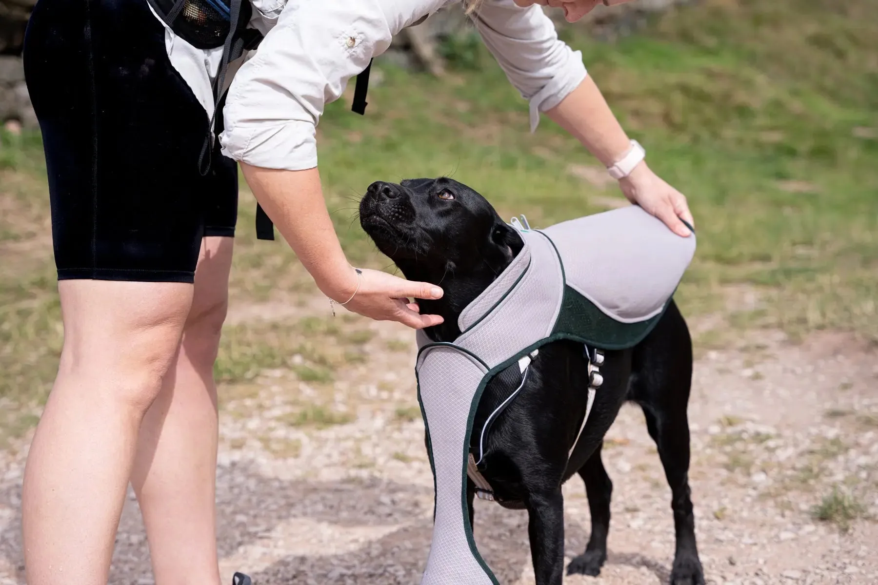 Dog Cooling Coat - Ruff & Tumble - BLACK FRIDAY SPECIAL OFFER - UPTO 30% OFF