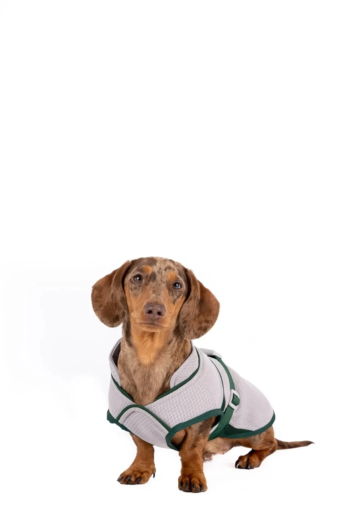 Dog Cooling Coat - Ruff & Tumble - BLACK FRIDAY SPECIAL OFFER - UPTO 30% OFF