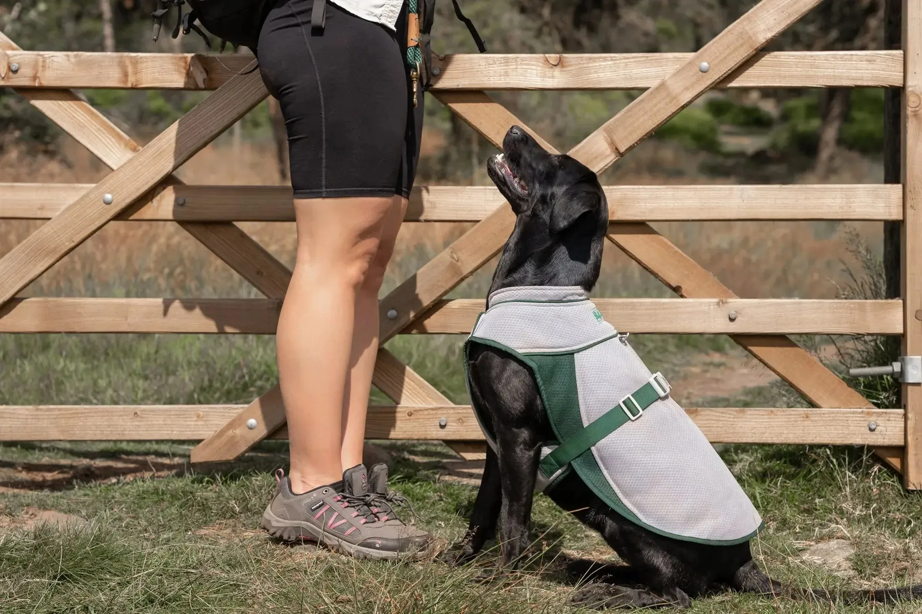 Dog Cooling Coat - Ruff & Tumble - BLACK FRIDAY SPECIAL OFFER - UPTO 30% OFF