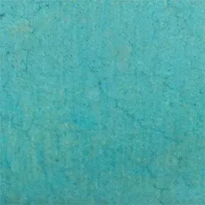 Dye Stain for Indoor Concrete - Tru Tint Dye